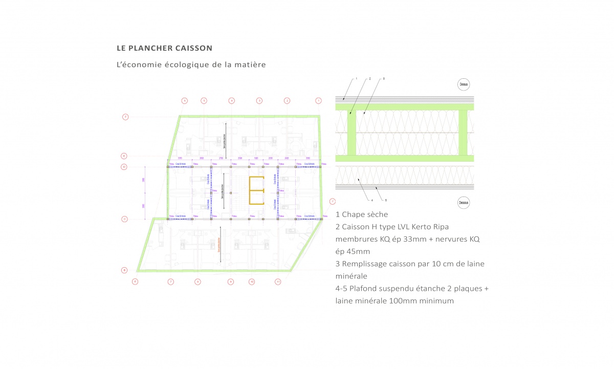 Conception et ralisation d'un immeuble de 99 logements en structure bois. Paris 14e : Composition plancher