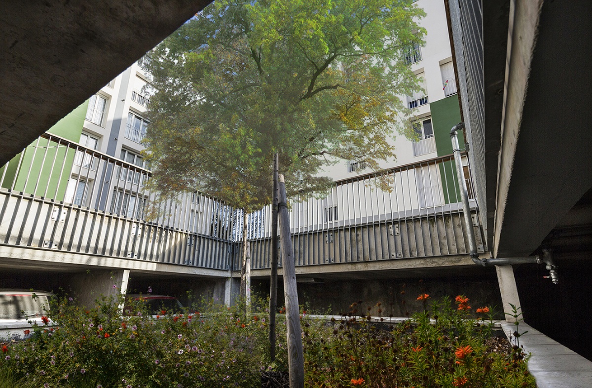 Rhabilitation de 213 logements sociaux + amnagement paysager  Vaires-sur-Marne : A42-Vaires-Paul Algis-Zoom puits de lumiere dessous Veget