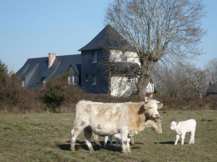 maison normande : Sans titre.JPG