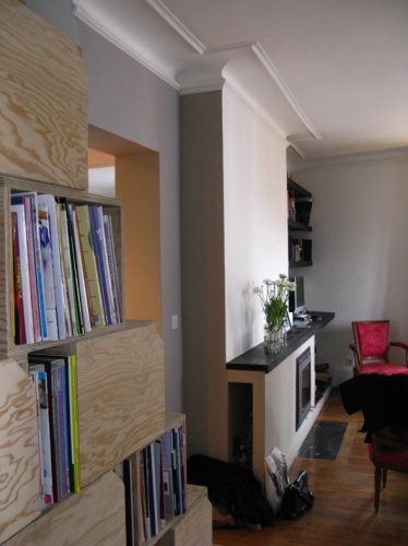 Rnovation et rorganisation d'un appartement classique : Living : inser chemine et bibliothque 