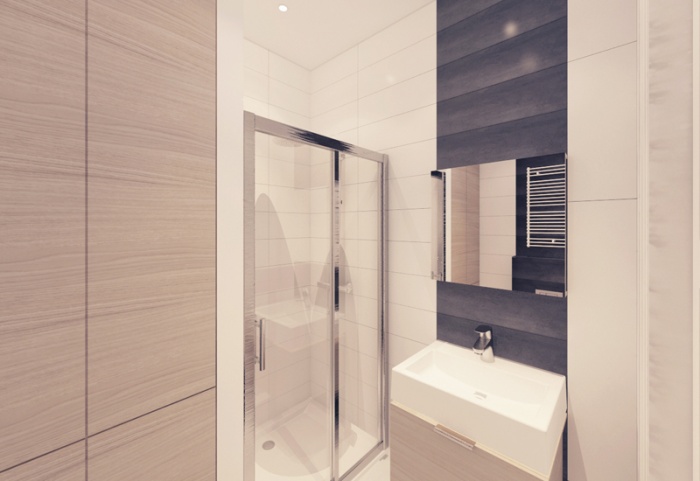 Appartement  Varsovie : Salle de bains 3D